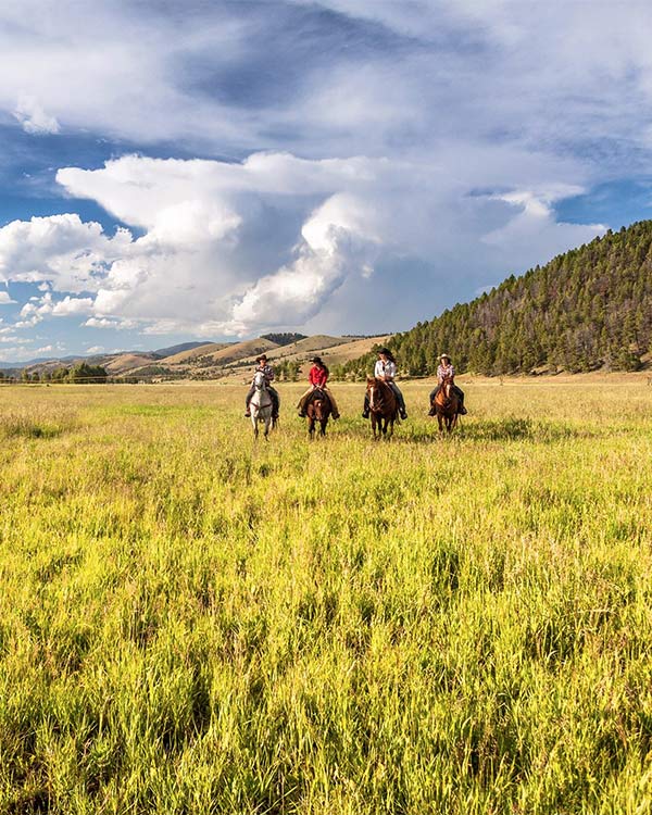 Wildlife viewing experience Montana, USA