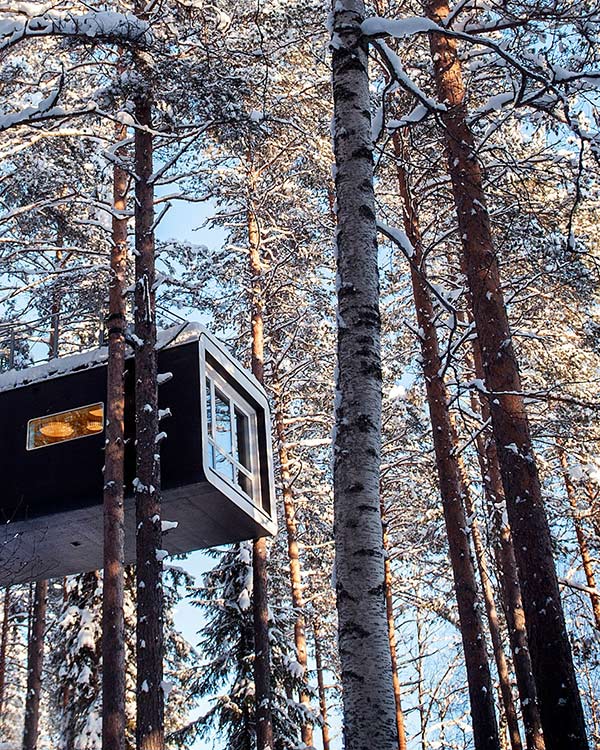 Tree Hotel Unique fllow experience in sweden