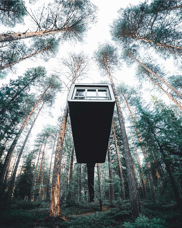 Treehotel Experience Sweden