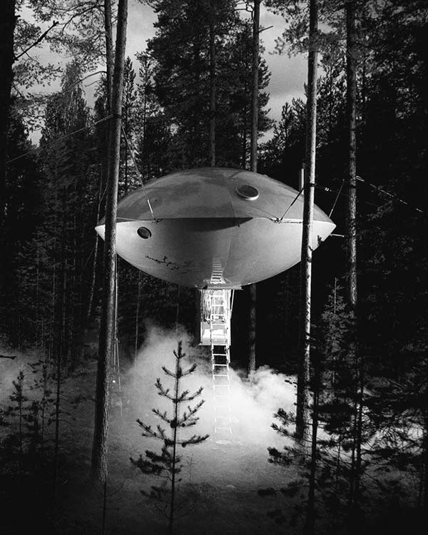 Ufo Tree hotel experience