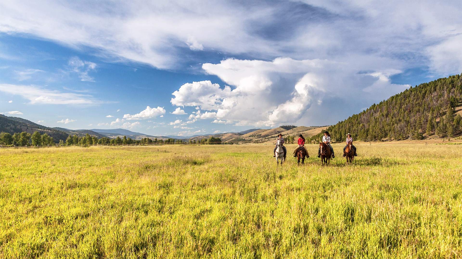 Luxury Ranch experience Montana, USA