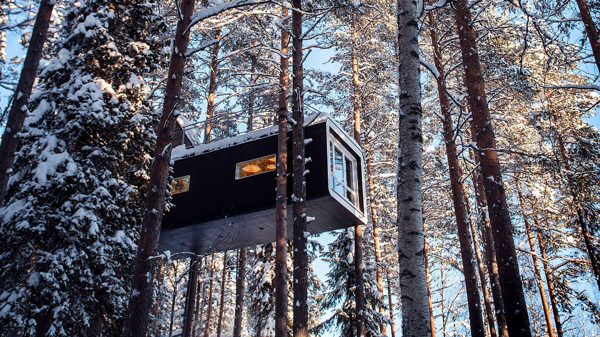 Hotel in the trees in sweden